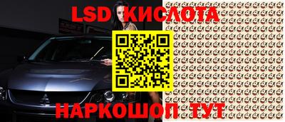 бошки Будённовск