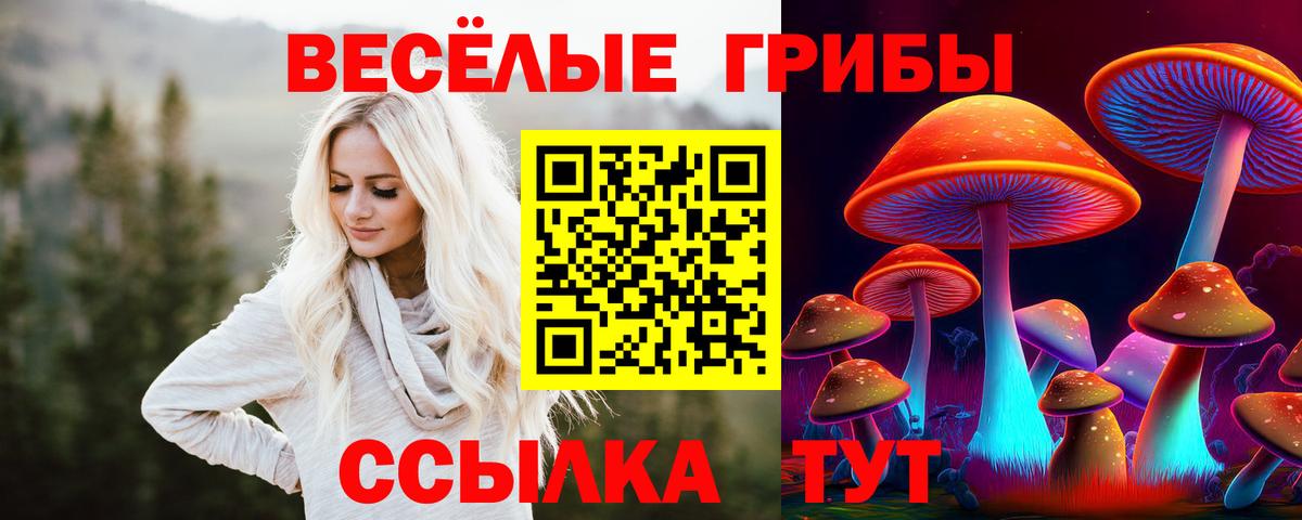 Первоуральск  Псилоцибиновые грибы Psilocybine cubensis  Вход с VPN 